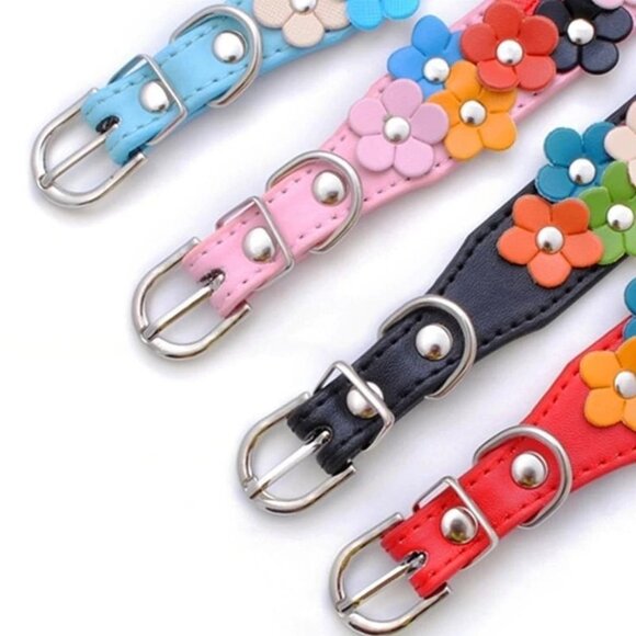 Della Terese Colorful Flowers on Rosy Red Dog Collar Size Small Gift Packaged - Picture 3 of 9